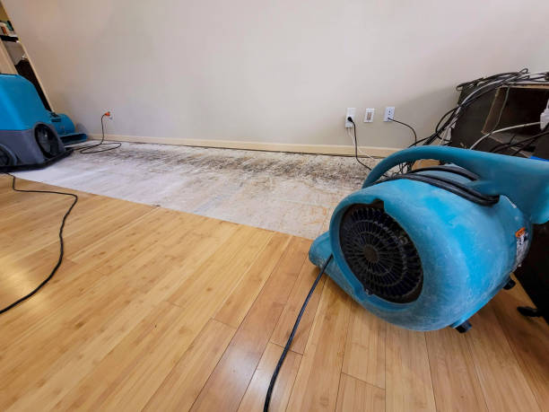 Reliable Basement Flood Cleanup contractor in Santaquin, UT by Hirex Water Damage