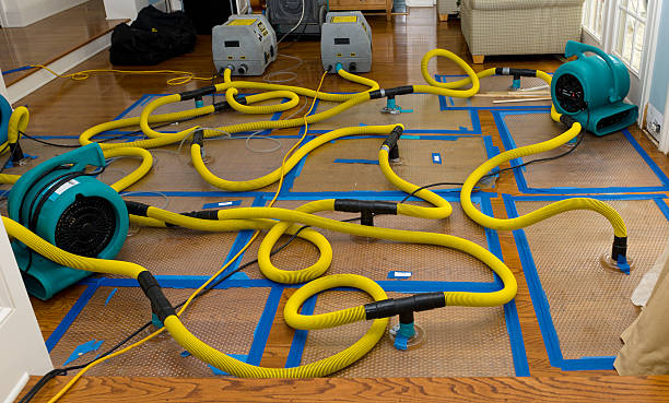 Professional Basement Flood Cleanup technician working in Santaquin, UT